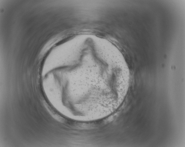 X0000082690293200702232212