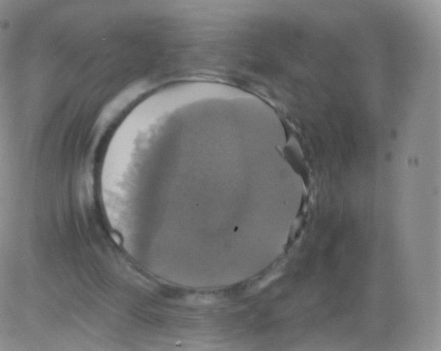 X0000082690294200702232212