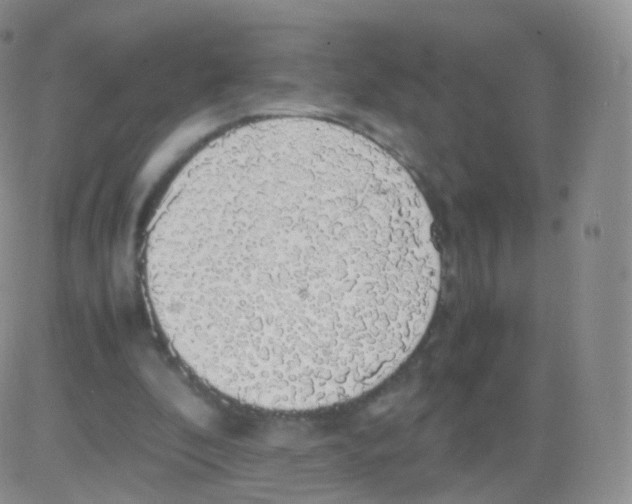 X0000082690296200702232212