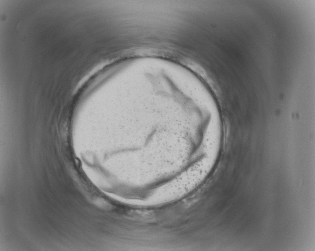 X0000082690297200702232211