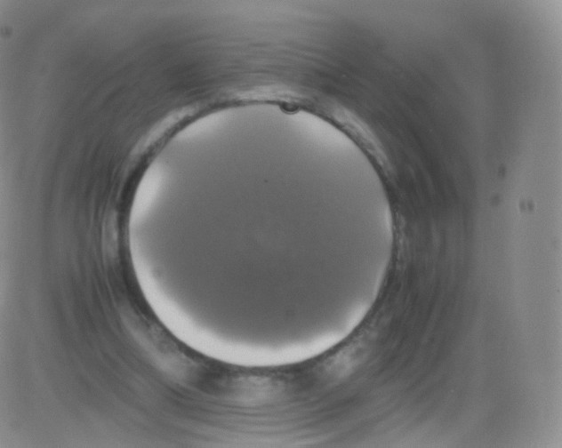 X0000082690298200702232211