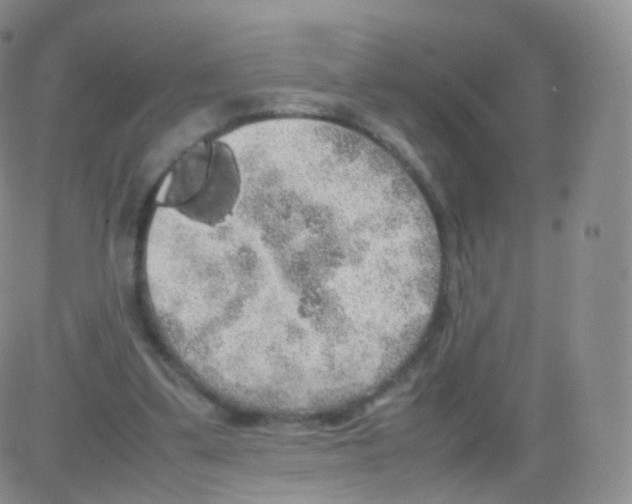 X0000082690299200702232211