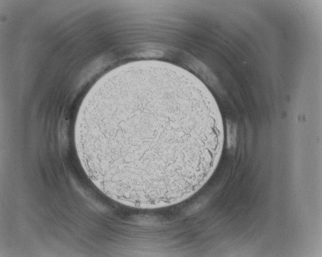 X0000082690300200702232211