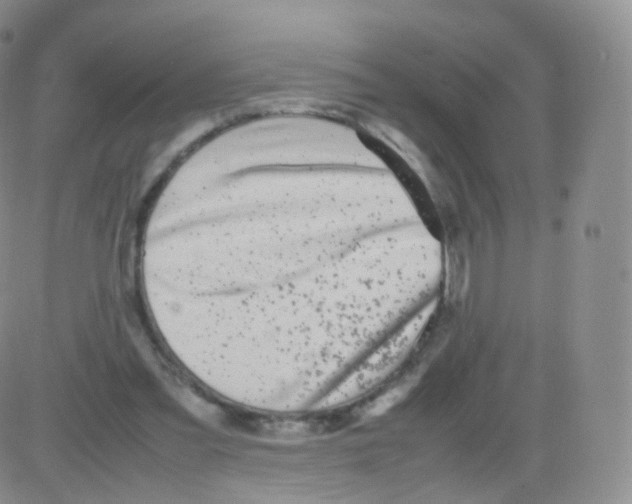 X0000082690301200702232211