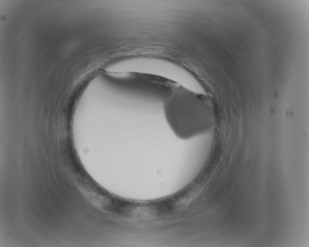 X0000082690303200702232211