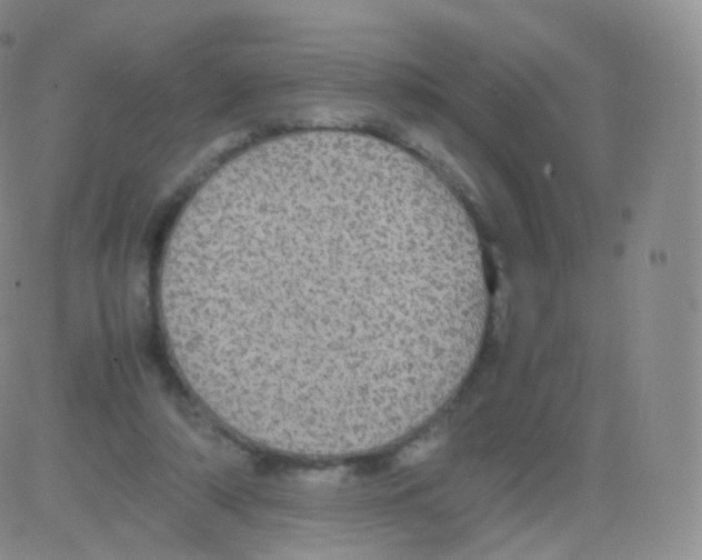 X0000082690306200702232211