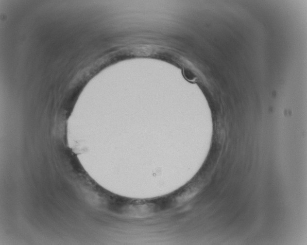 X0000082690307200702232211