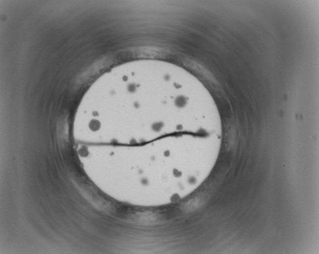 X0000082690310200702232211