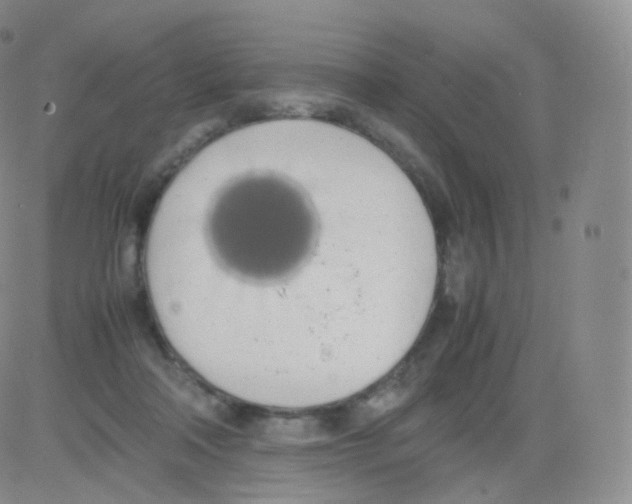 X0000082690314200702232211