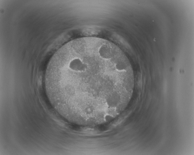 X0000082690315200702232211