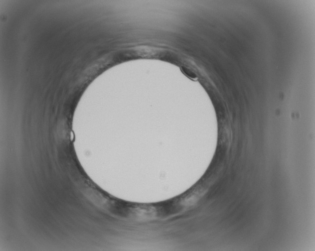 X0000082690317200702232211