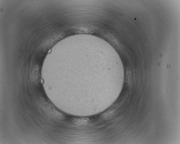 X0000082690318200702232211