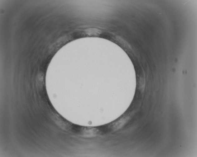 X0000082690321200702232211