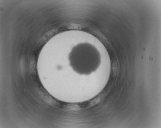 X0000082690322200702232211