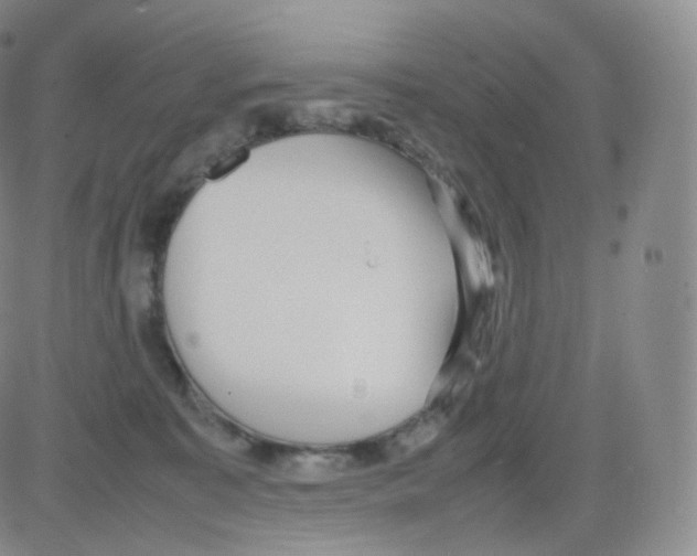 X0000082690323200702232211