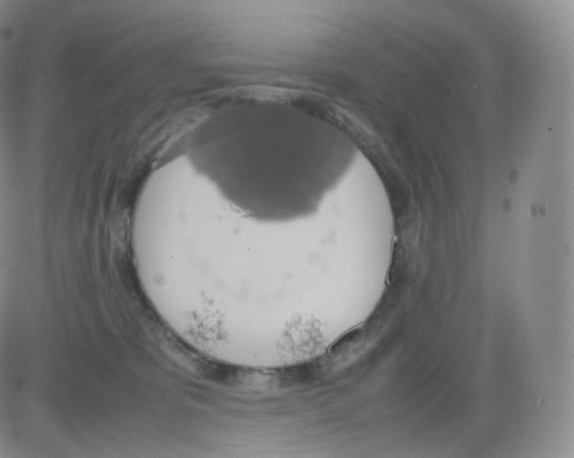 X0000082690325200702232211