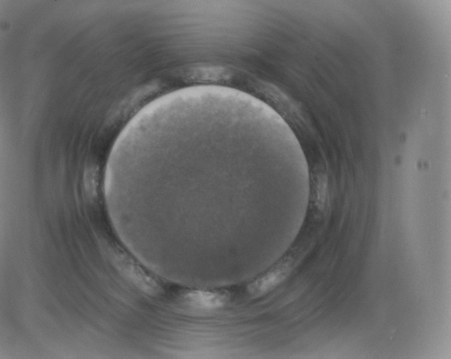 X0000082690326200702232211