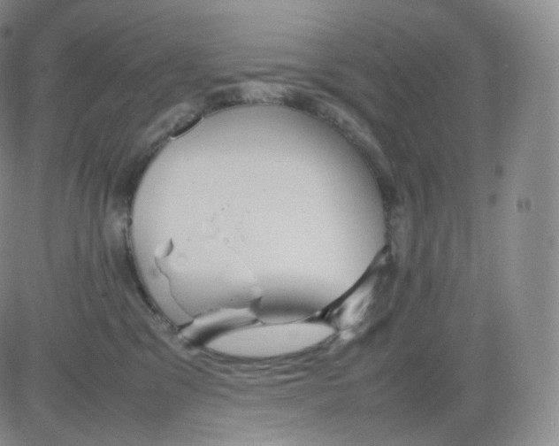 X0000082690329200702232211