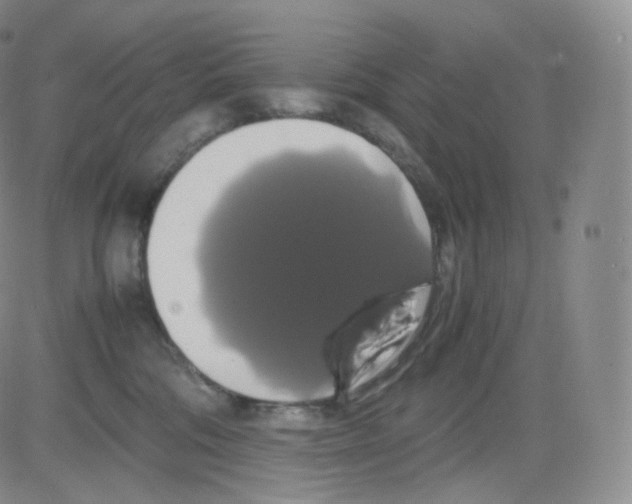 X0000082690330200702232211