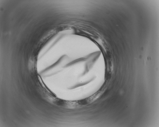 X0000082690333200702232211