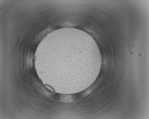 X0000082690334200702232211