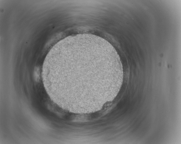 X0000082690335200702232211