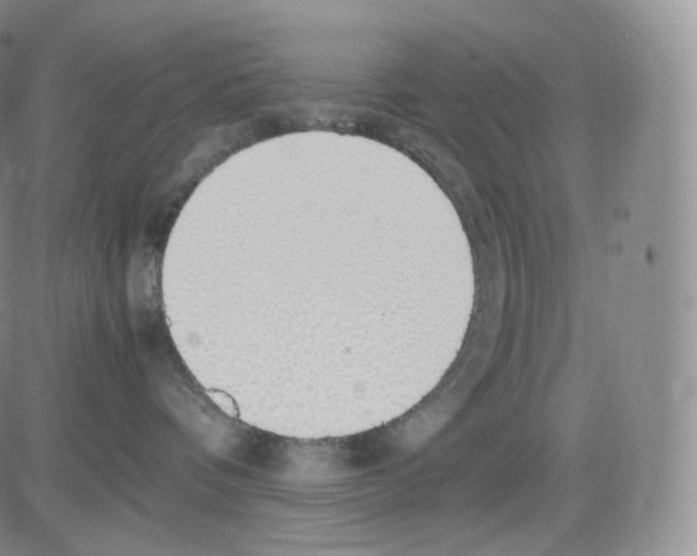 X0000082690336200702232211