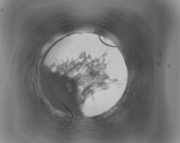 X0000082690337200702232210