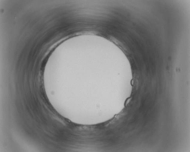 X0000082690338200702232210