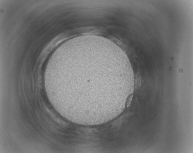 X0000082690339200702232210