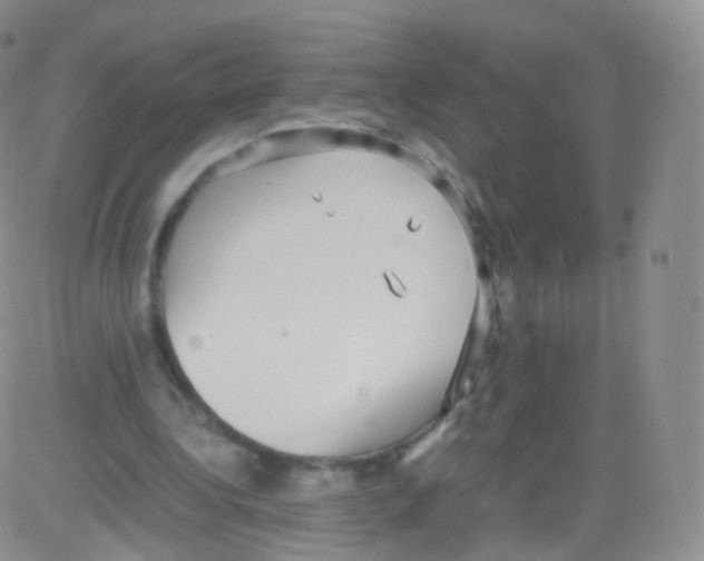 X0000082690340200702232210