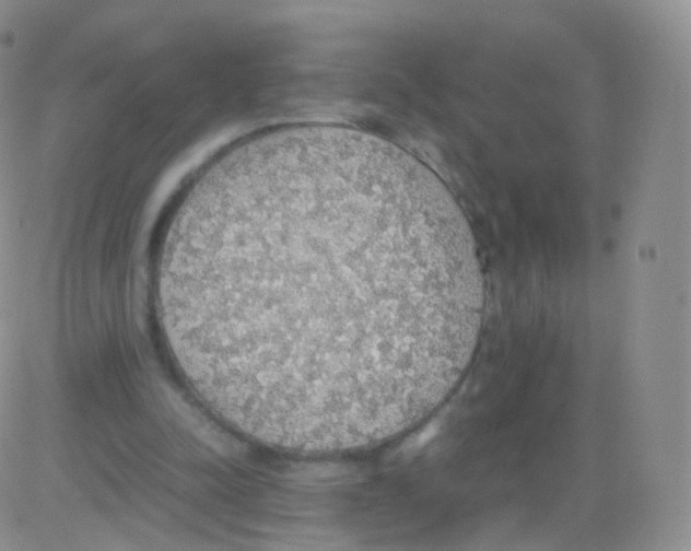 X0000082690342200702232210