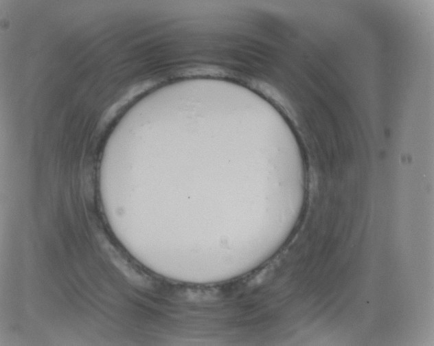 X0000082690345200702232210