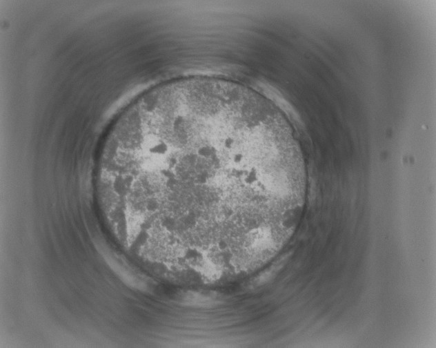 X0000082690346200702232210