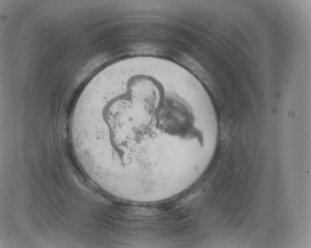 X0000082690347200702232210