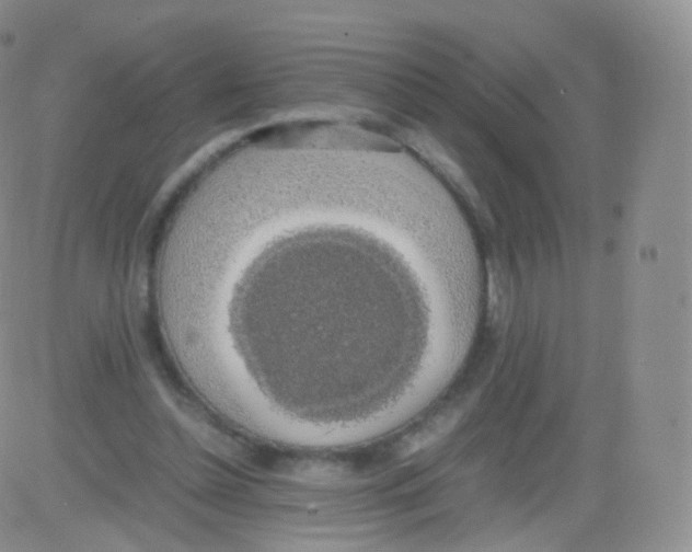 X0000082690348200702232210