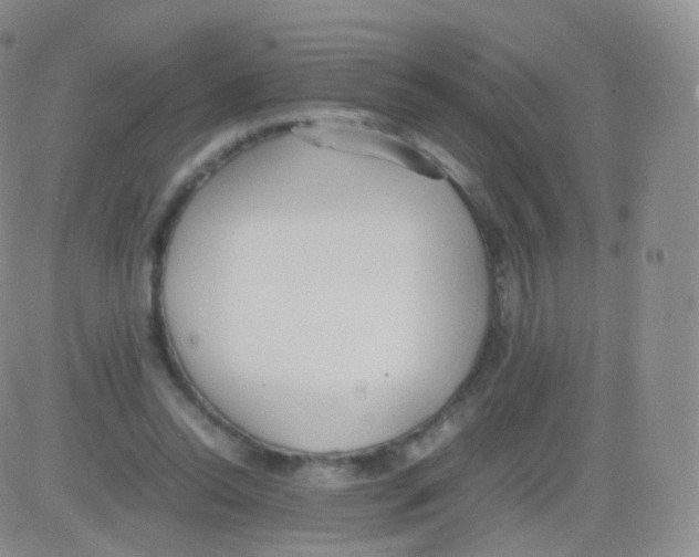 X0000082690350200702232210