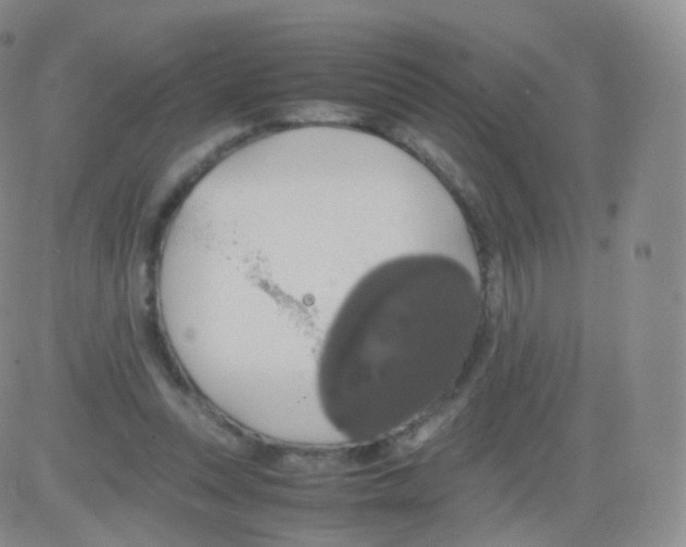 X0000082690351200702232210