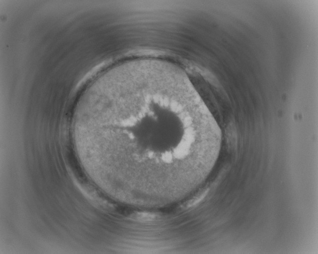 X0000082690352200702232210