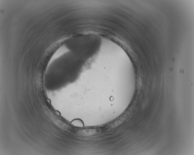 X0000082690353200702232210