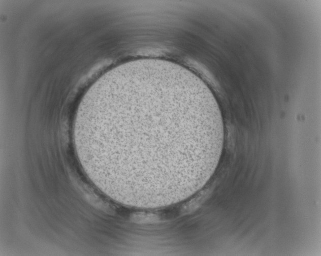 X0000082690354200702232210