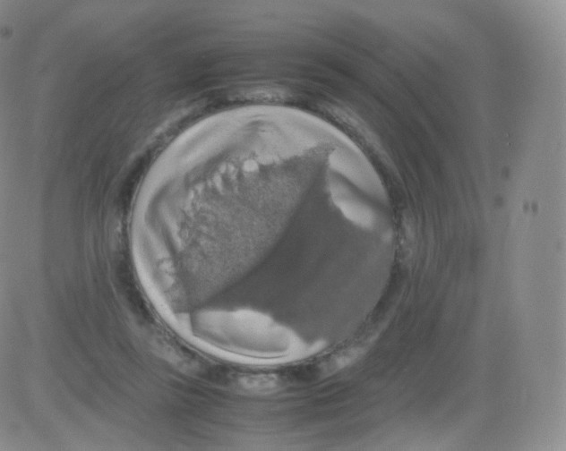 X0000082690355200702232210