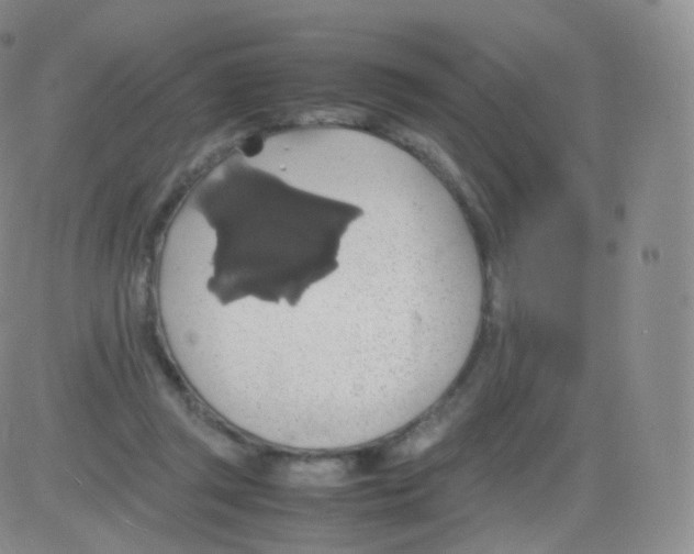 X0000082690357200702232210