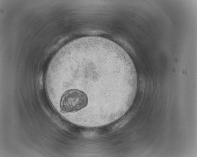 X0000082690358200702232210