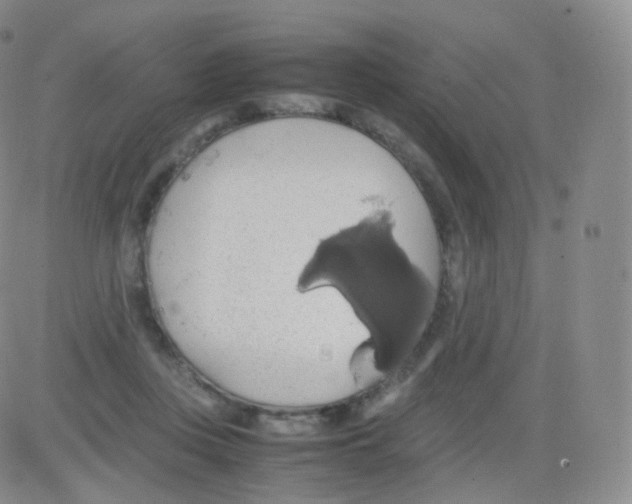 X0000082690359200702232210