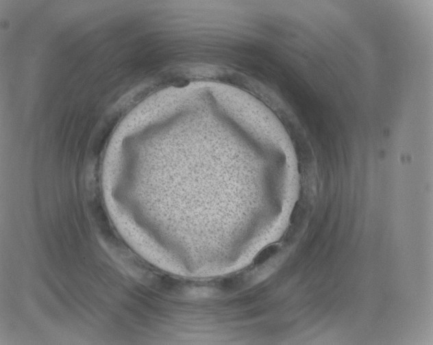 X0000082690360200702232210