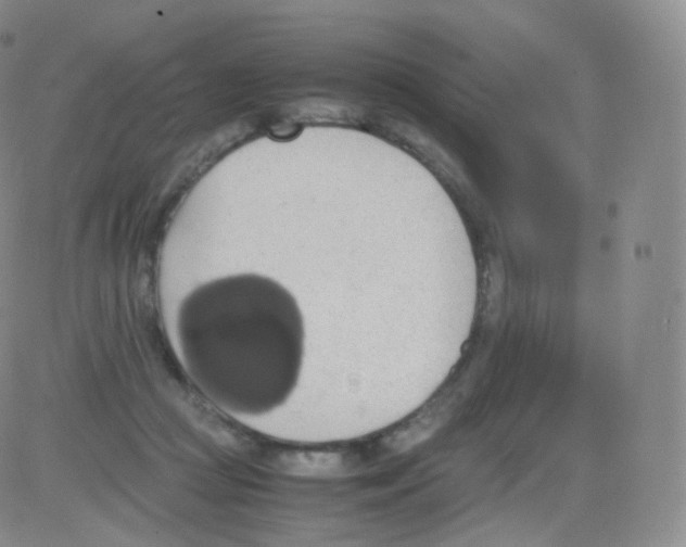 X0000082690361200702232210