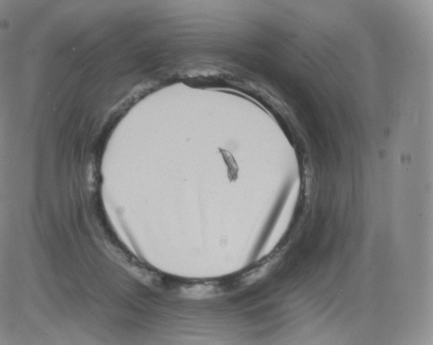 X0000082690362200702232210