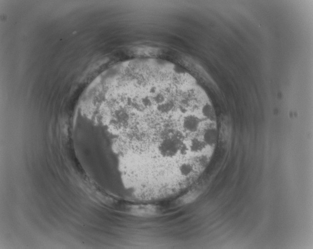 X0000082690363200702232210