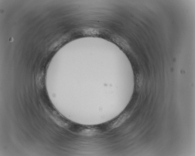 X0000082690364200702232210